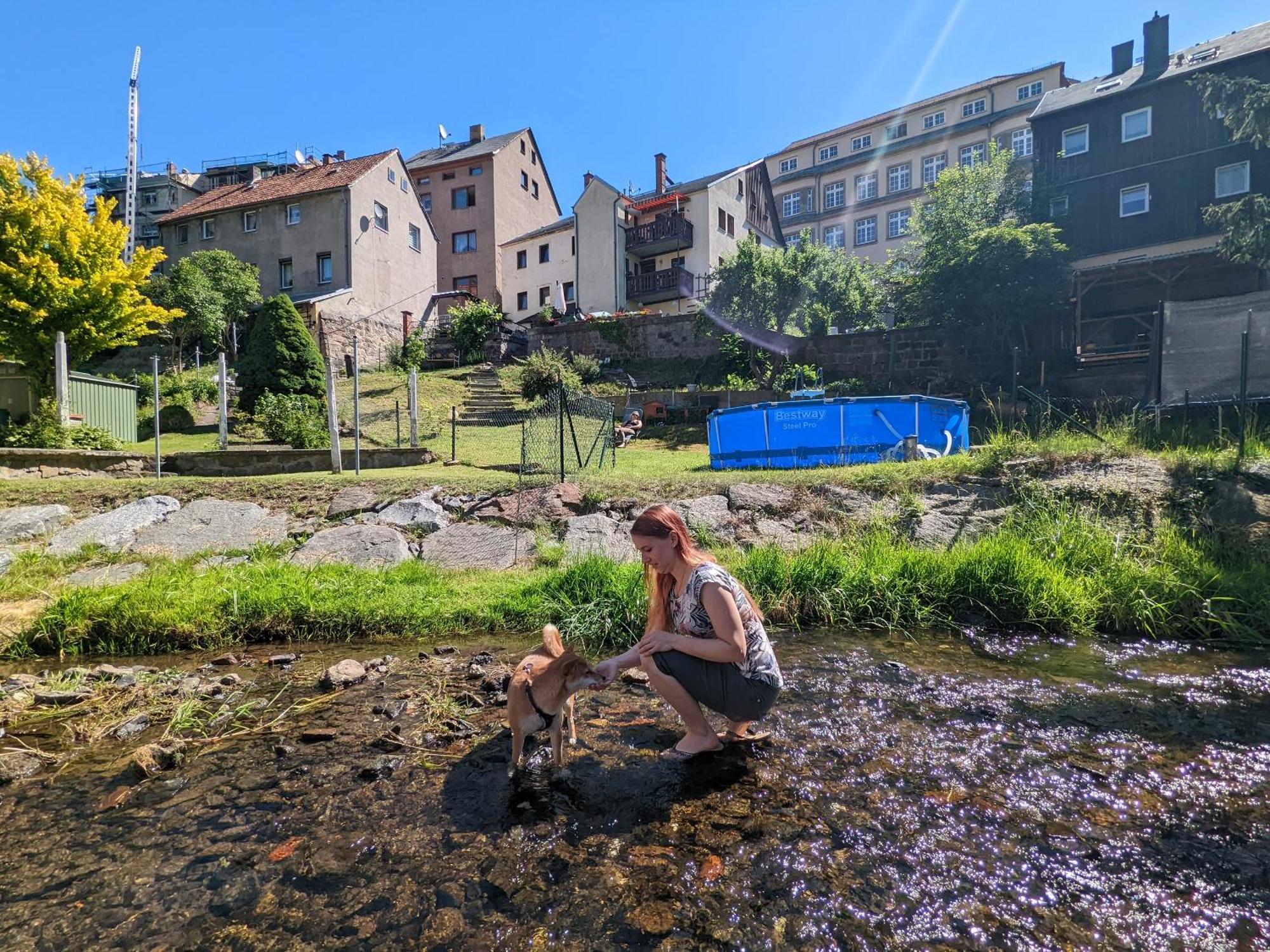 Uo2 - Urlaubsmagie - Garten, Whirlpool, Sauna Lägenhet Sebnitz Exteriör bild
