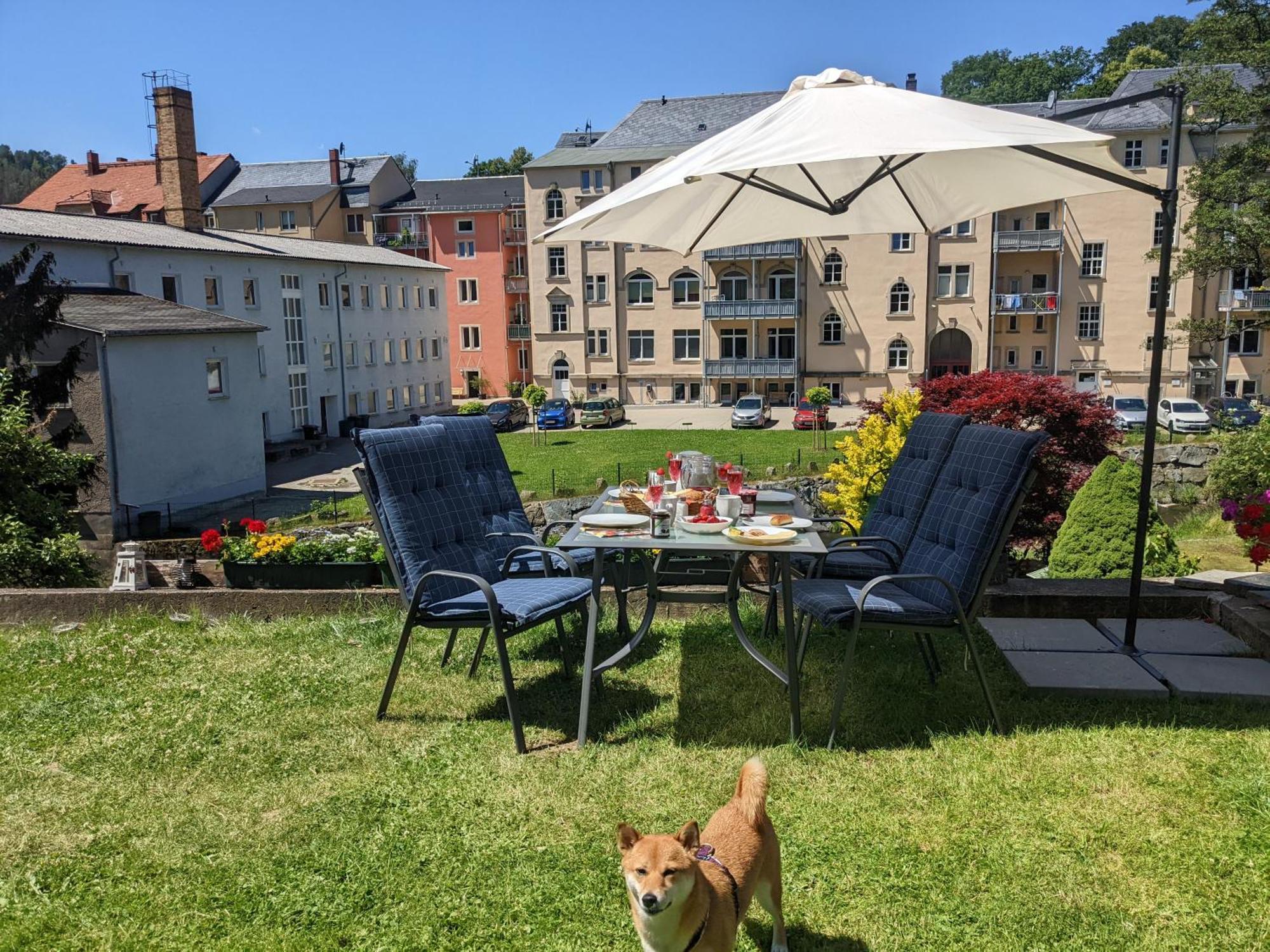 Uo2 - Urlaubsmagie - Garten, Whirlpool, Sauna Lägenhet Sebnitz Exteriör bild