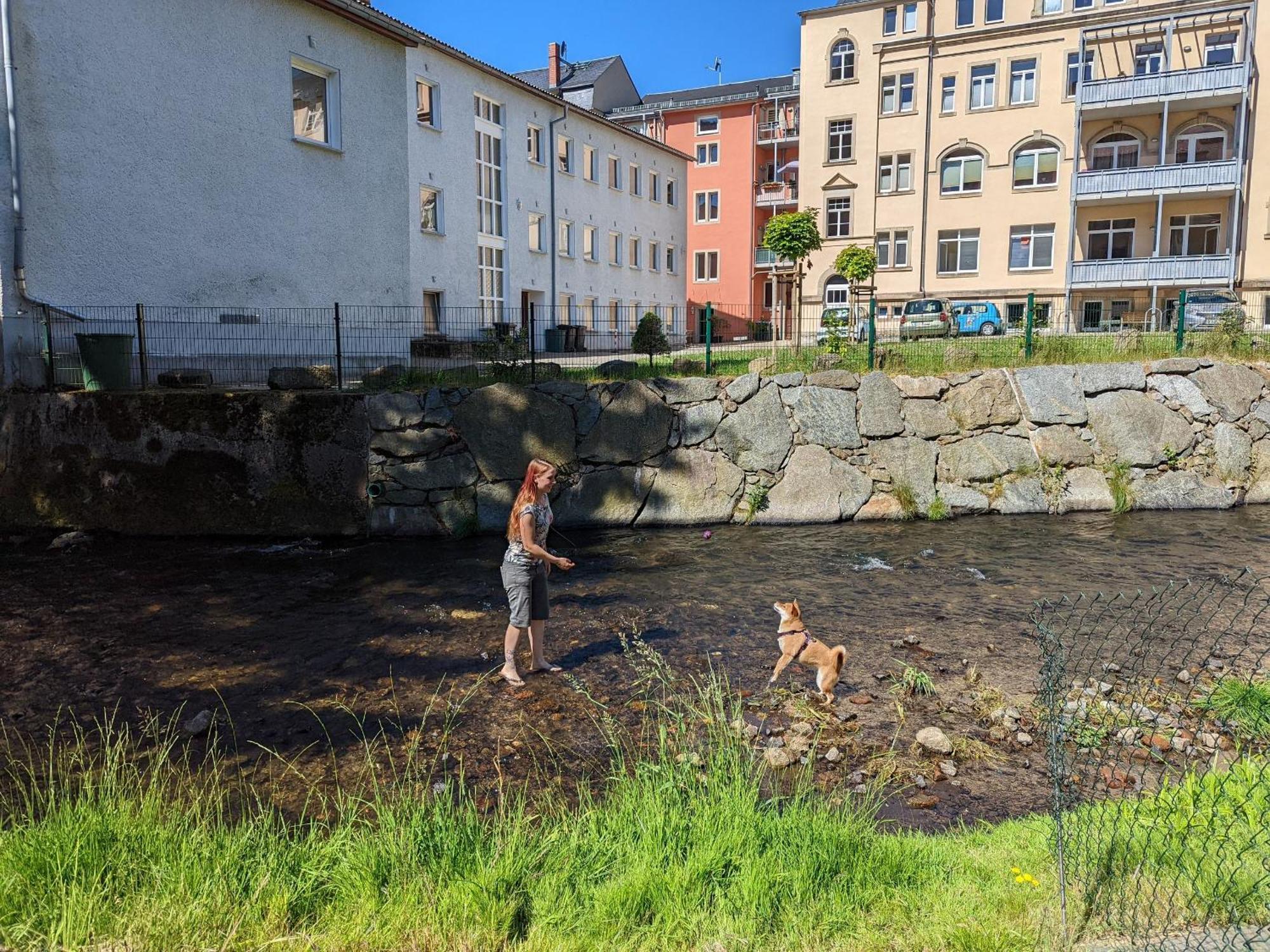 Uo2 - Urlaubsmagie - Garten, Whirlpool, Sauna Lägenhet Sebnitz Exteriör bild